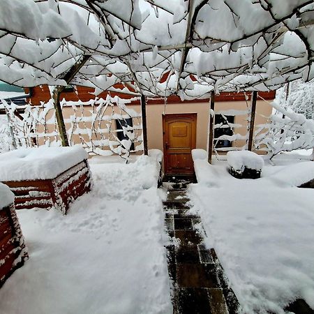 Vineyard Cottage Matej Trebnje Экстерьер фото