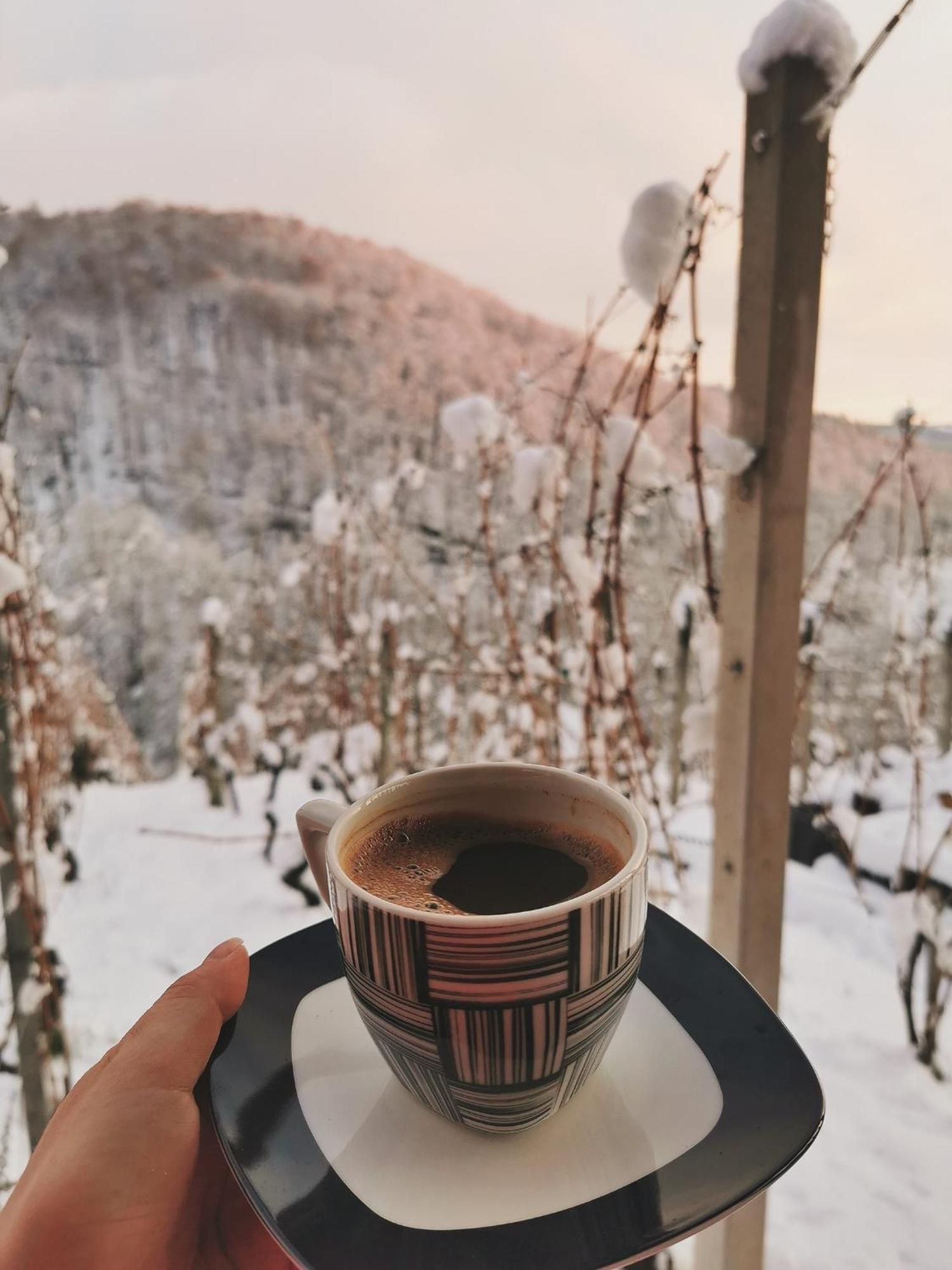 Vineyard Cottage Matej Trebnje Экстерьер фото
