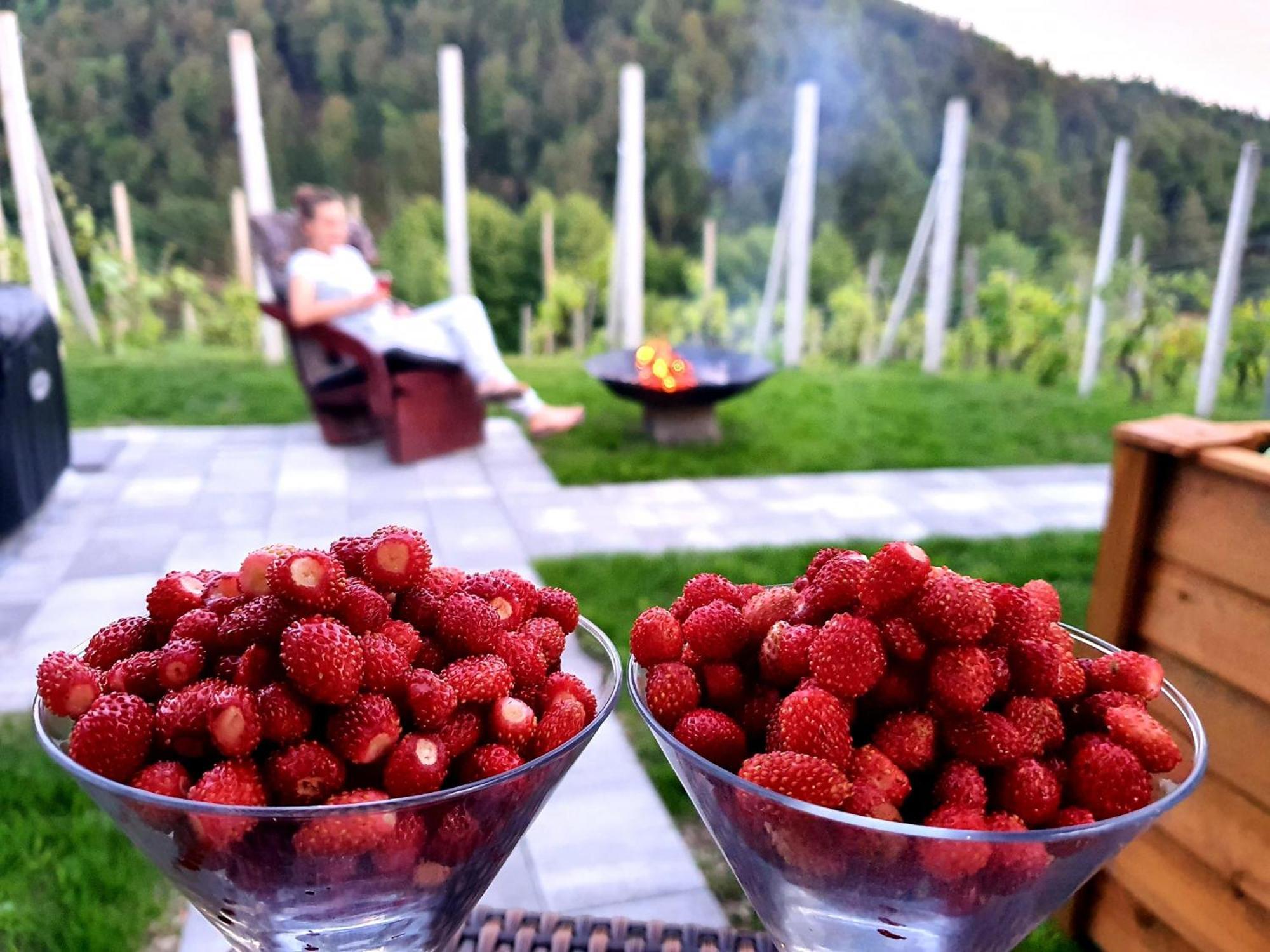 Vineyard Cottage Matej Trebnje Экстерьер фото
