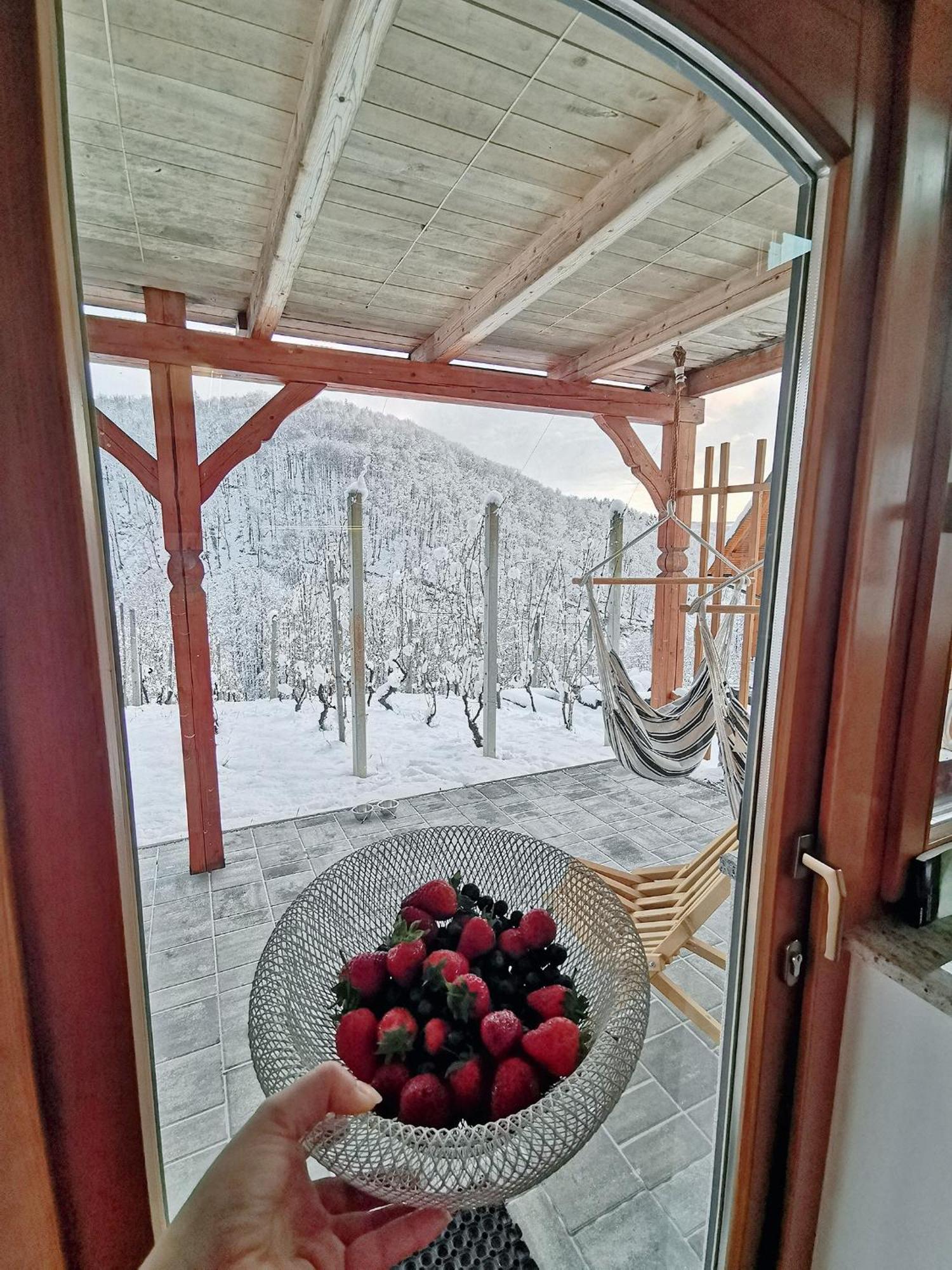 Vineyard Cottage Matej Trebnje Экстерьер фото